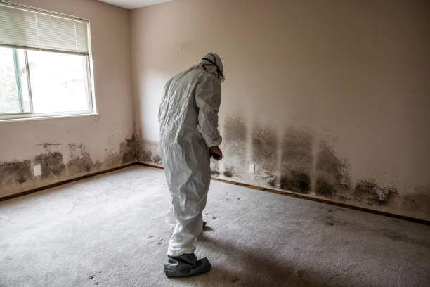 Mold Remediation for Rental Properties